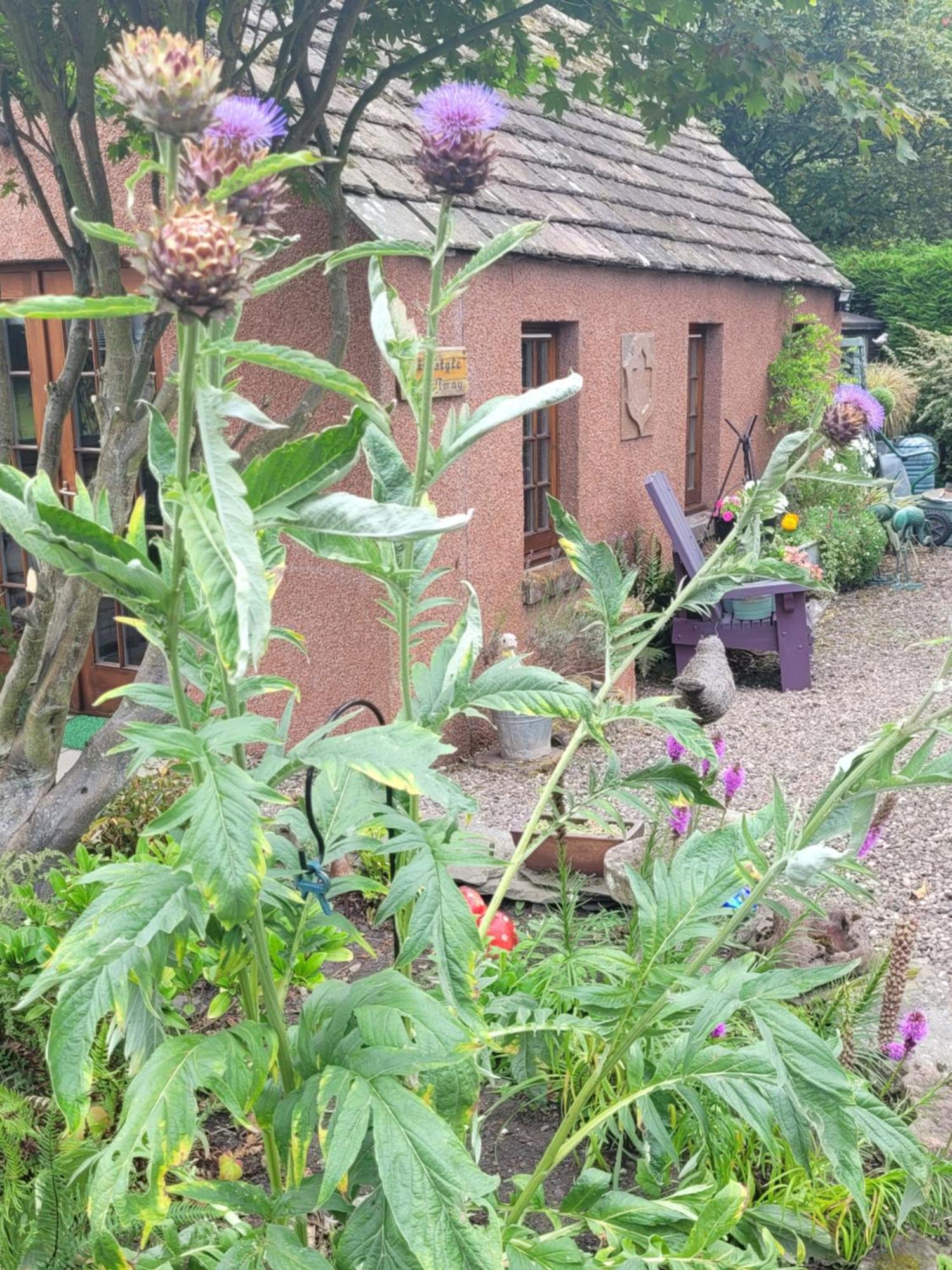 Kirkstyle Hideaway Bed & Breakfast Arbroath Exterior foto